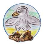 Bass Coast Strollers Logo